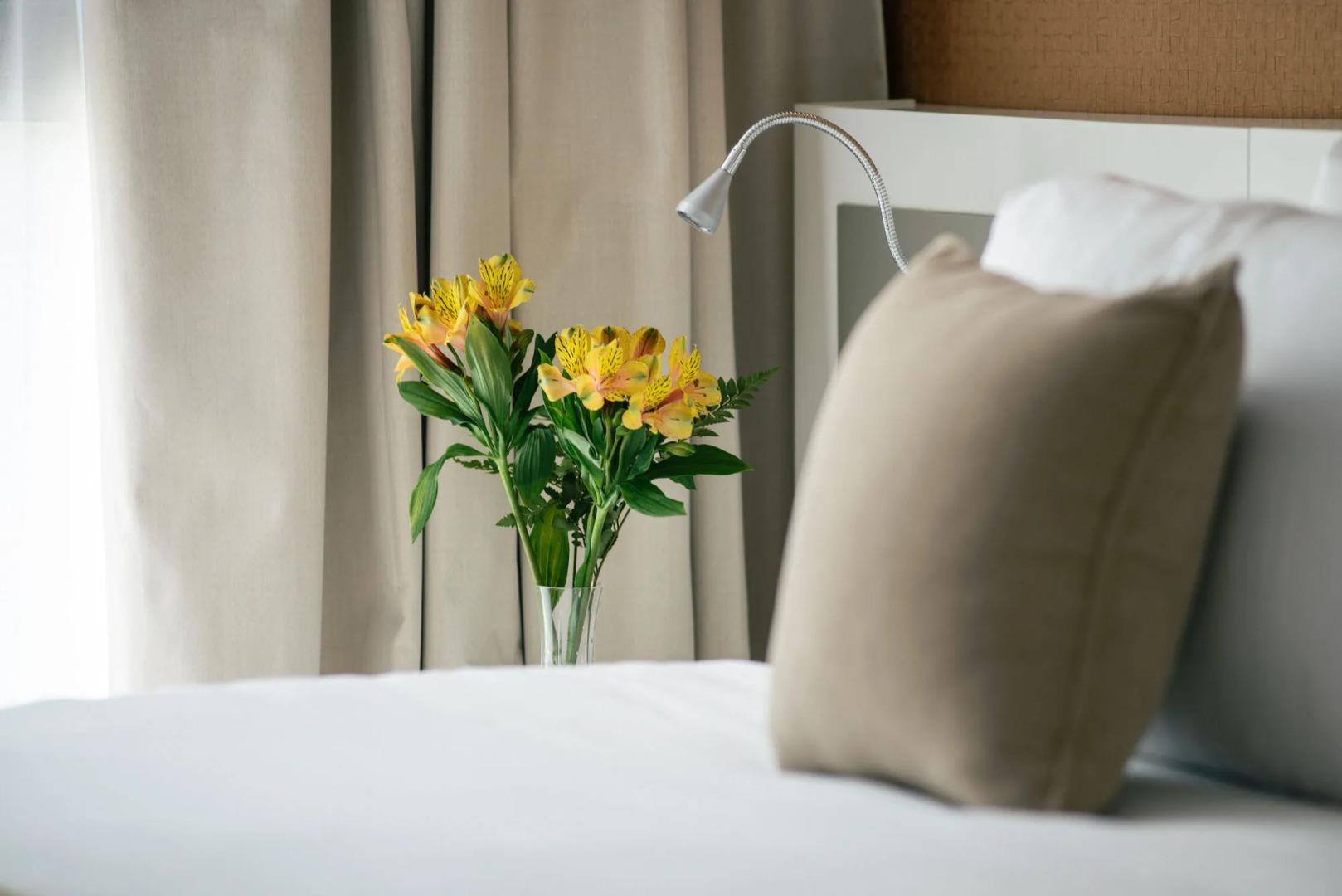 Foto - Own Montevideo