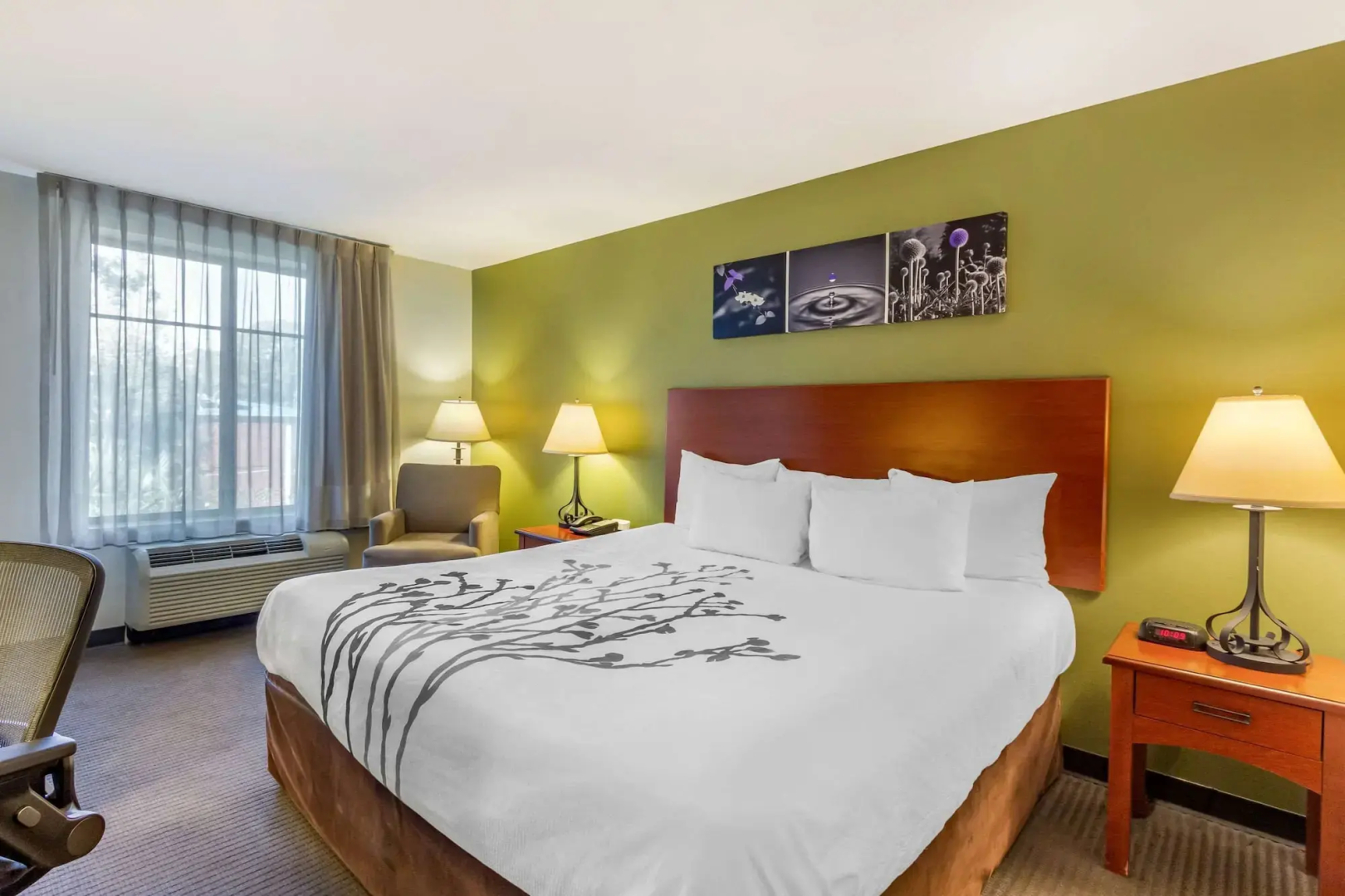 Foto - Sleep Inn & Suites Jacksonville West