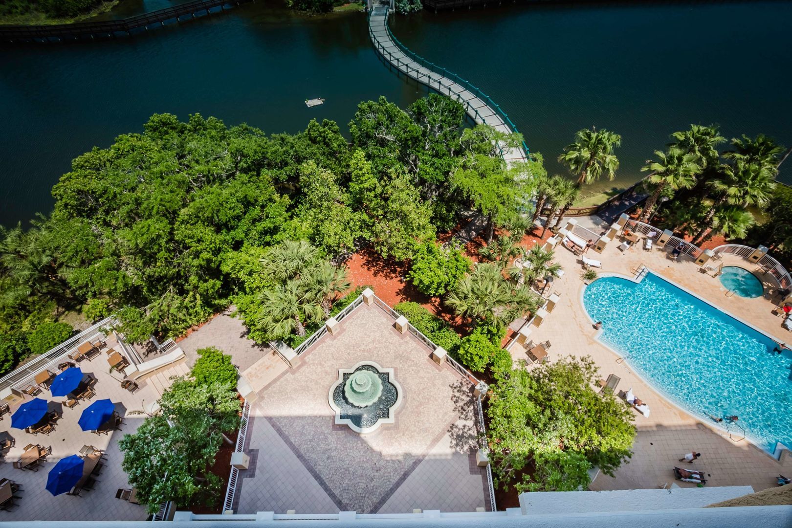 Foto - Hilton St. Petersburg Carillon Park