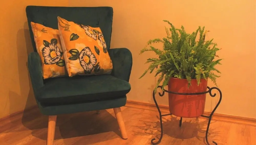 Photo - Sun Backpackers