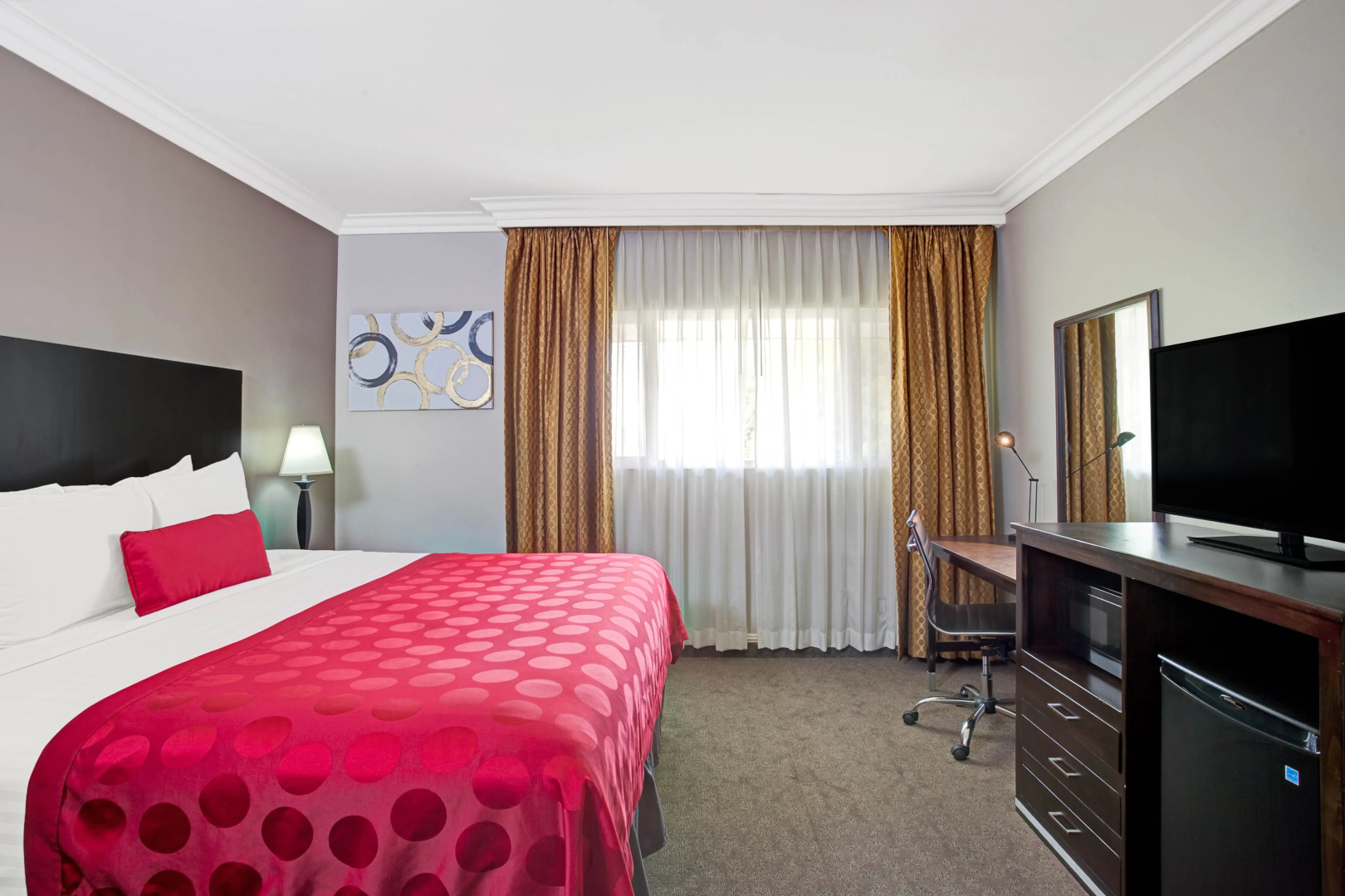Photo - The Live Hotel