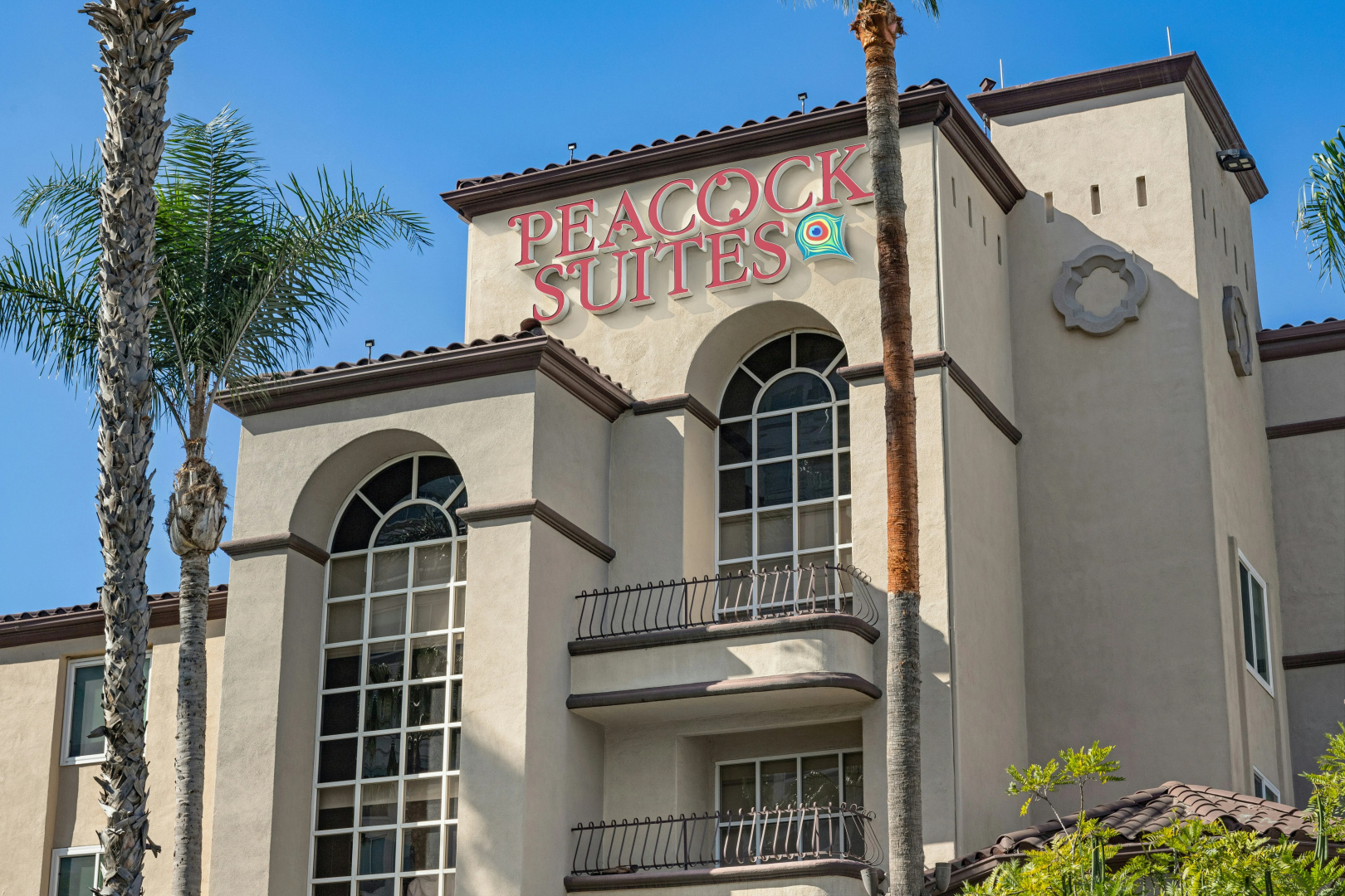 Photo - Peacock Suites