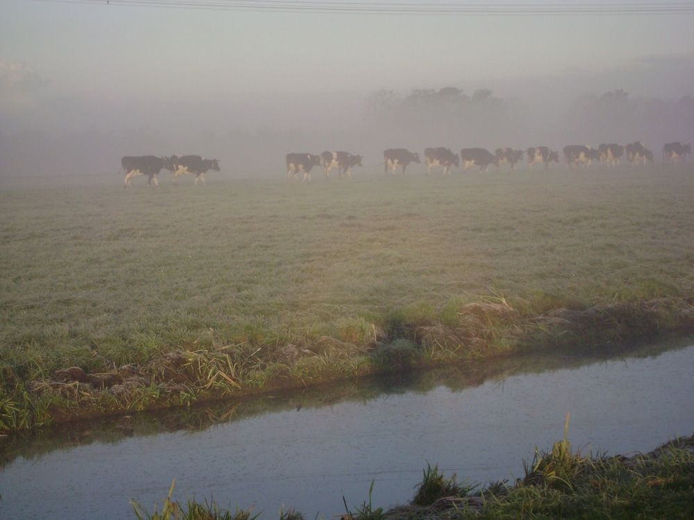 Foto - Boerderij Hazenveld