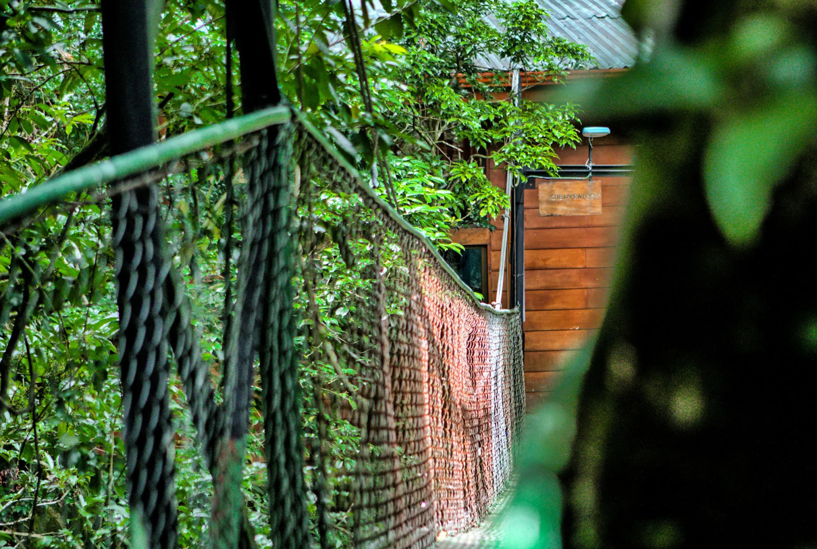 Foto - Jaguarundi Lodge