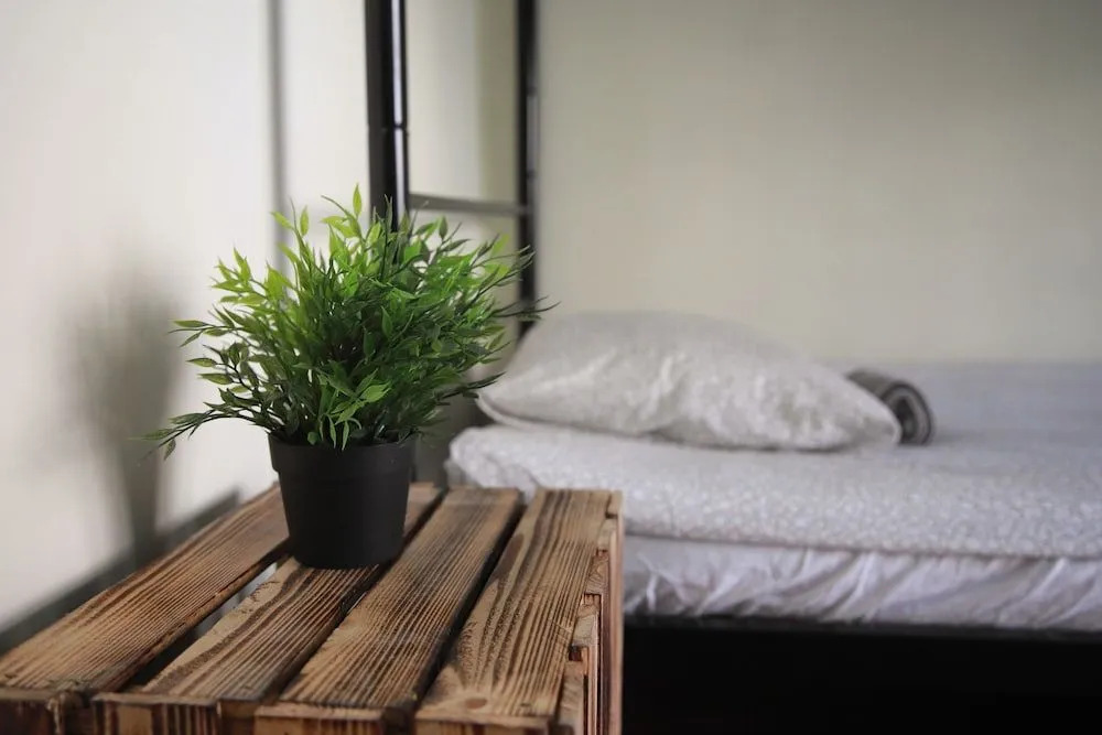 Photo - Willa Retro Hostel & Garden