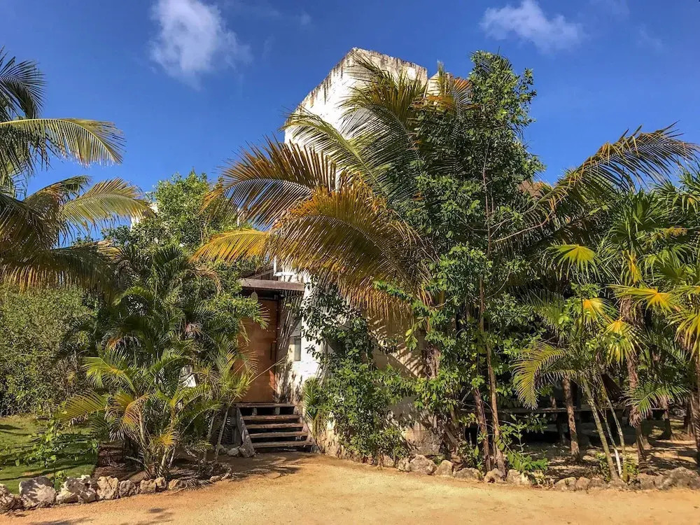 Foto - Vida Silvestre Tulum