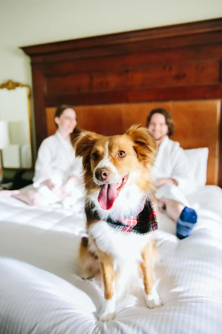 Foto - Omni Barton Creek Resort and Spa Austin