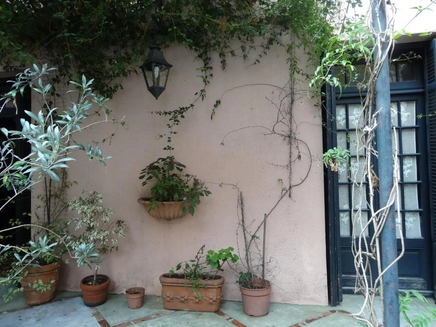 Photo - Posada de la Flor