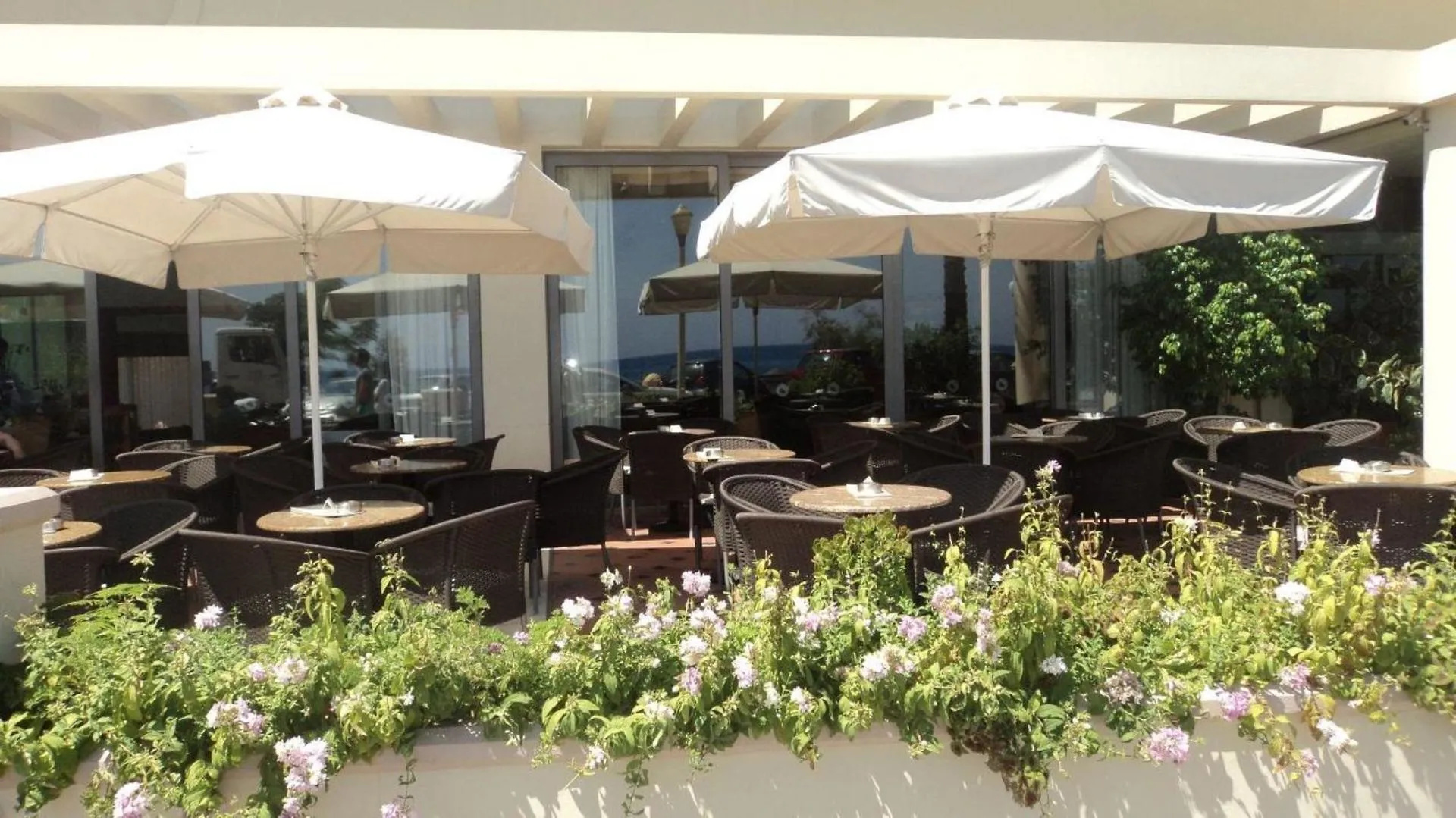 Foto - Mediterranean Hotel