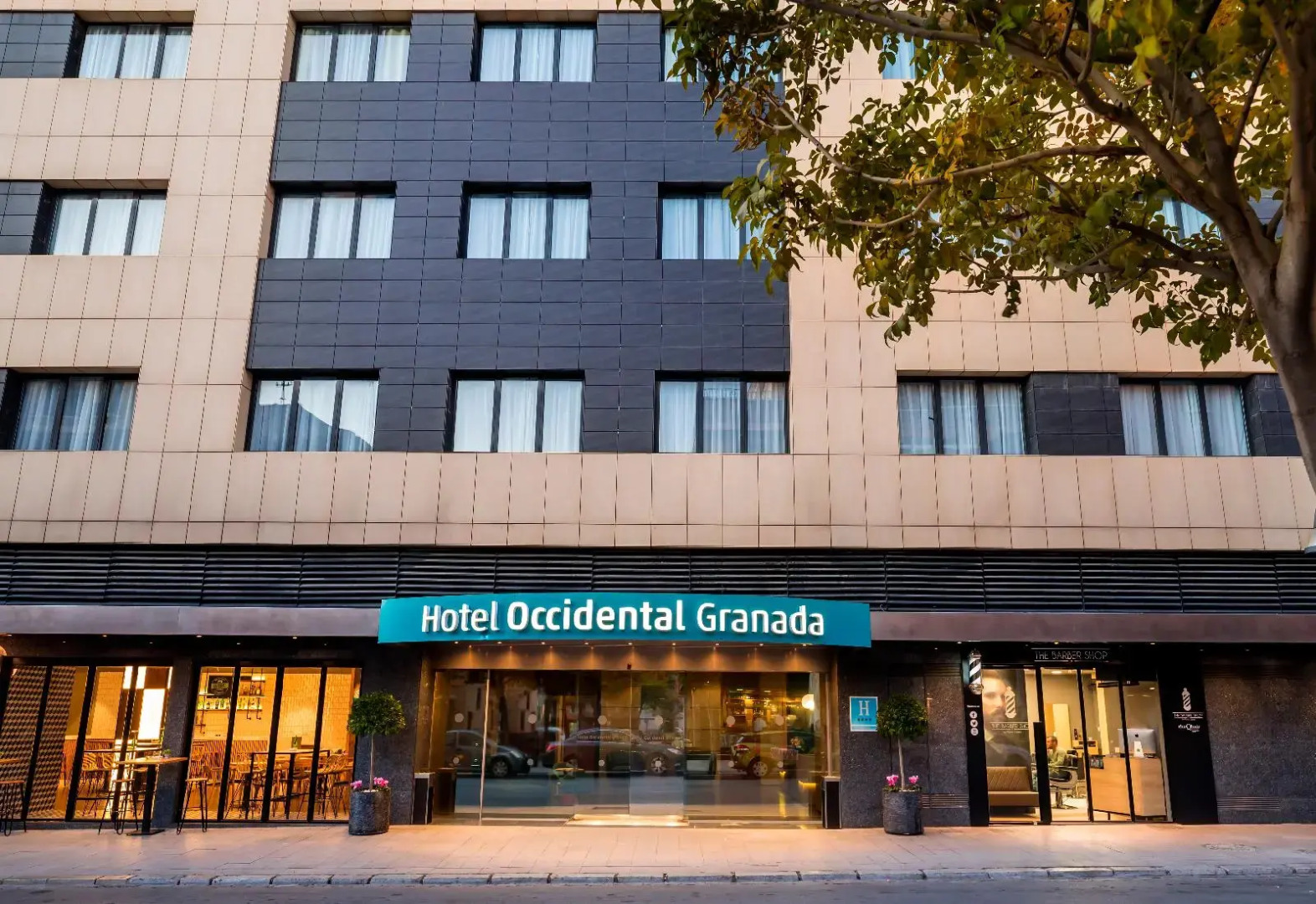 Foto - Occidental Granada