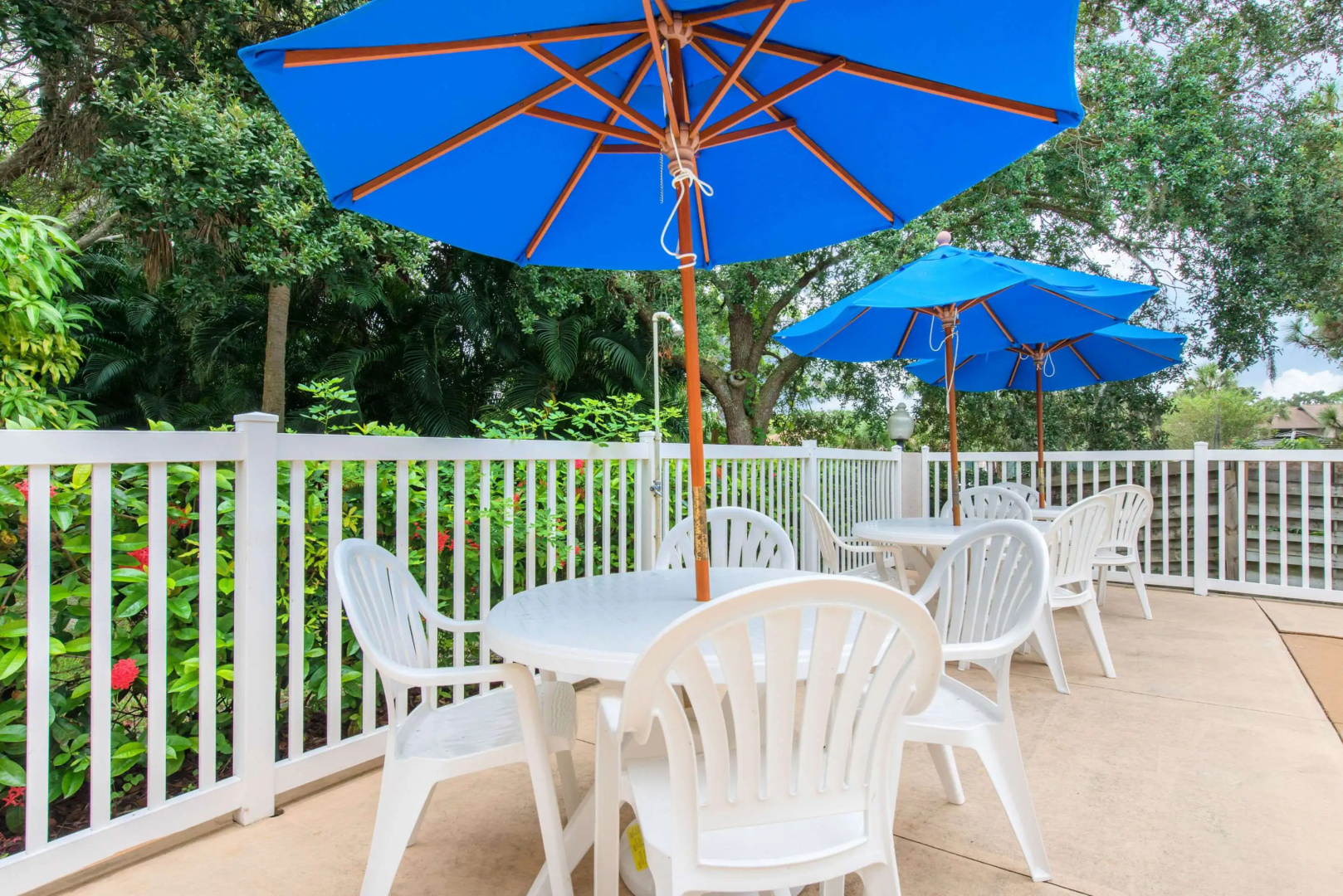 Foto - Sleep Inn Sarasota North