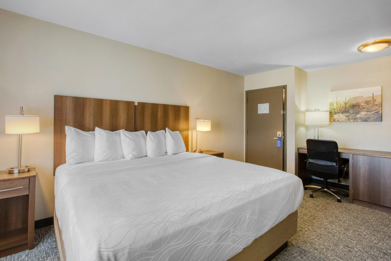 Foto - Best Western North Phoenix Hotel