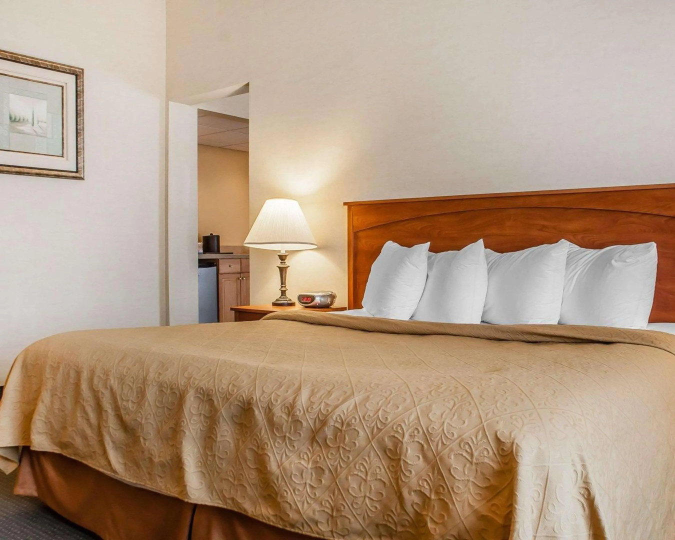 Foto - Quality Hotel & Suites At The Falls