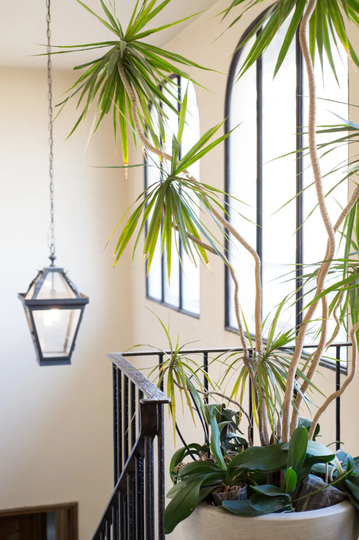 Photo - Tornabuoni Suites Collection Residenza D'Epoca