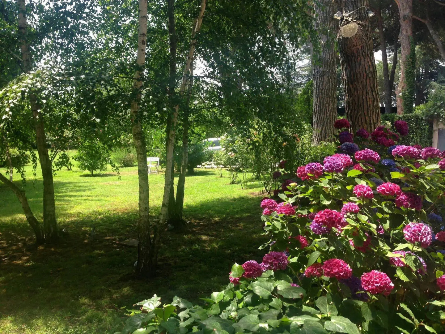 Foto - Villa Abbamer