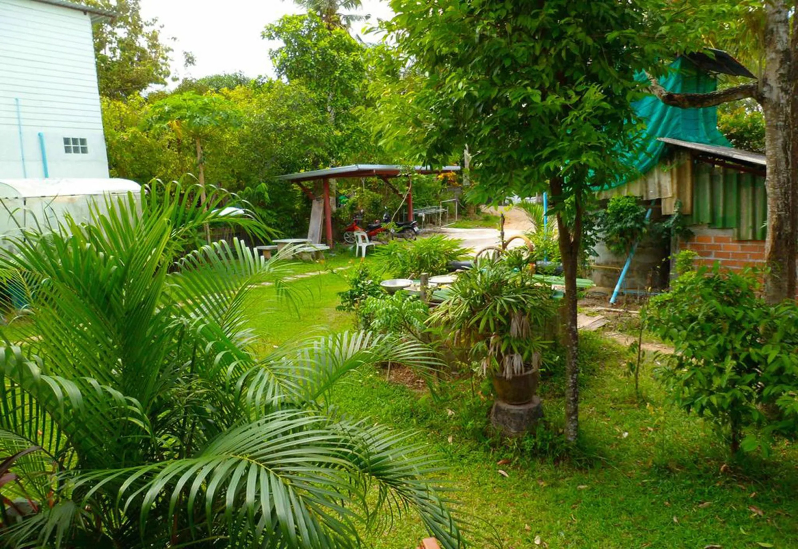 Photo - Bonus Bungalow