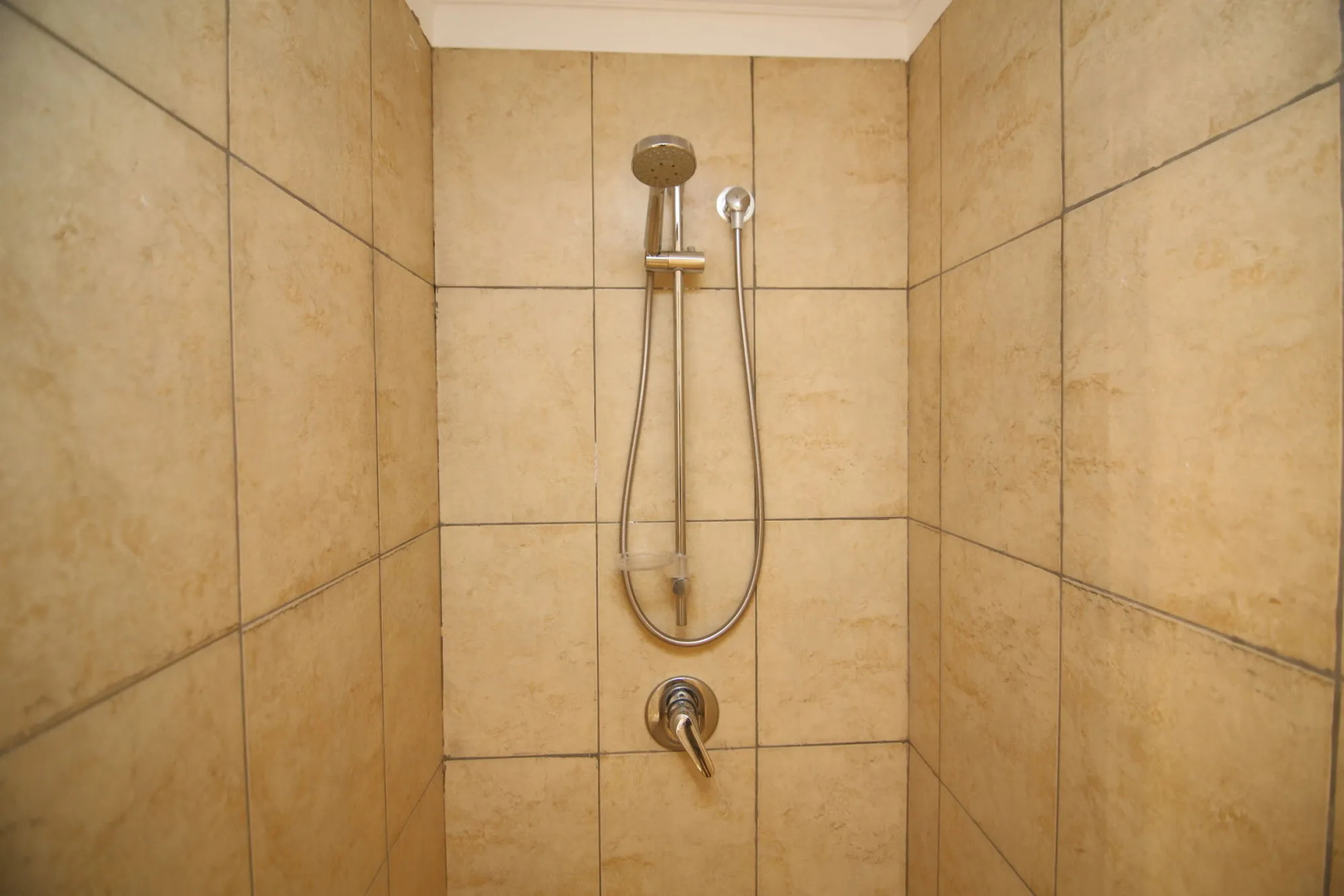 Foto - Club Reef Resort & Spa