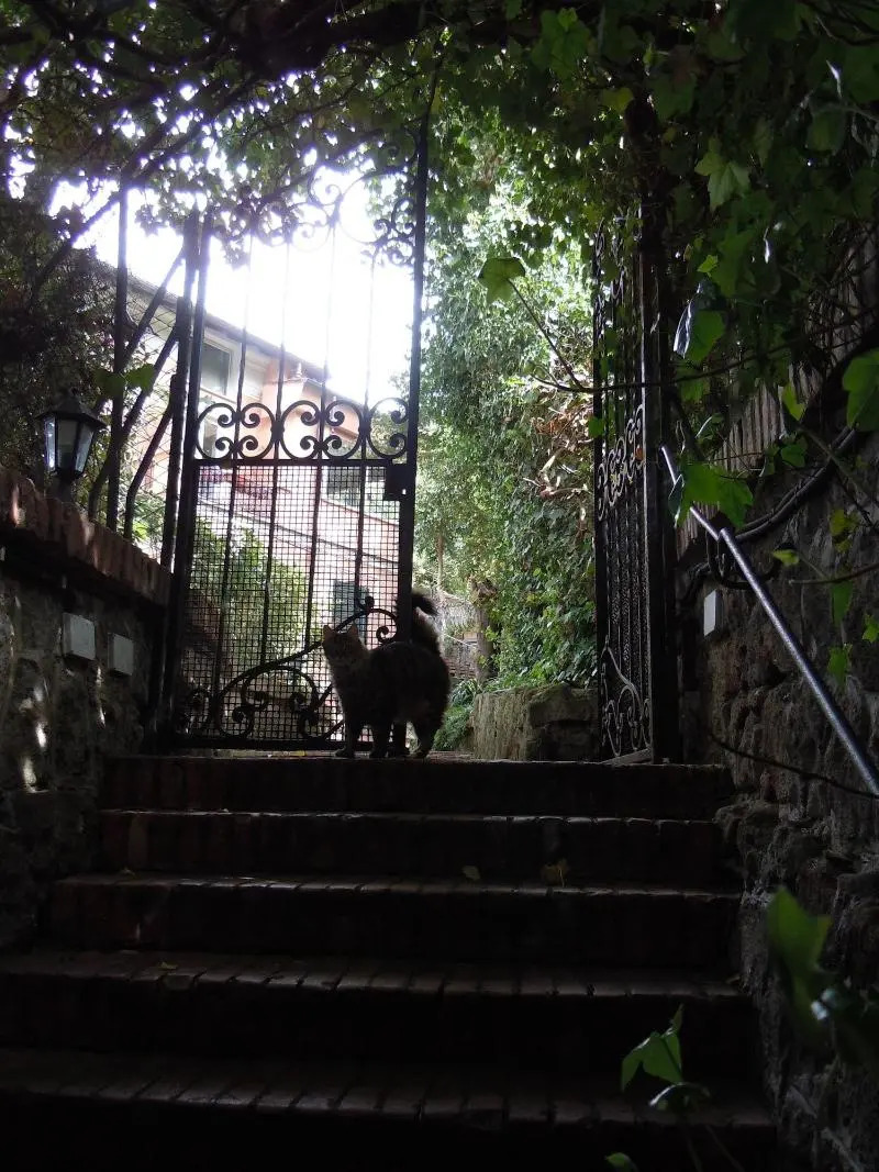 Foto - Villino Corbelli B&B