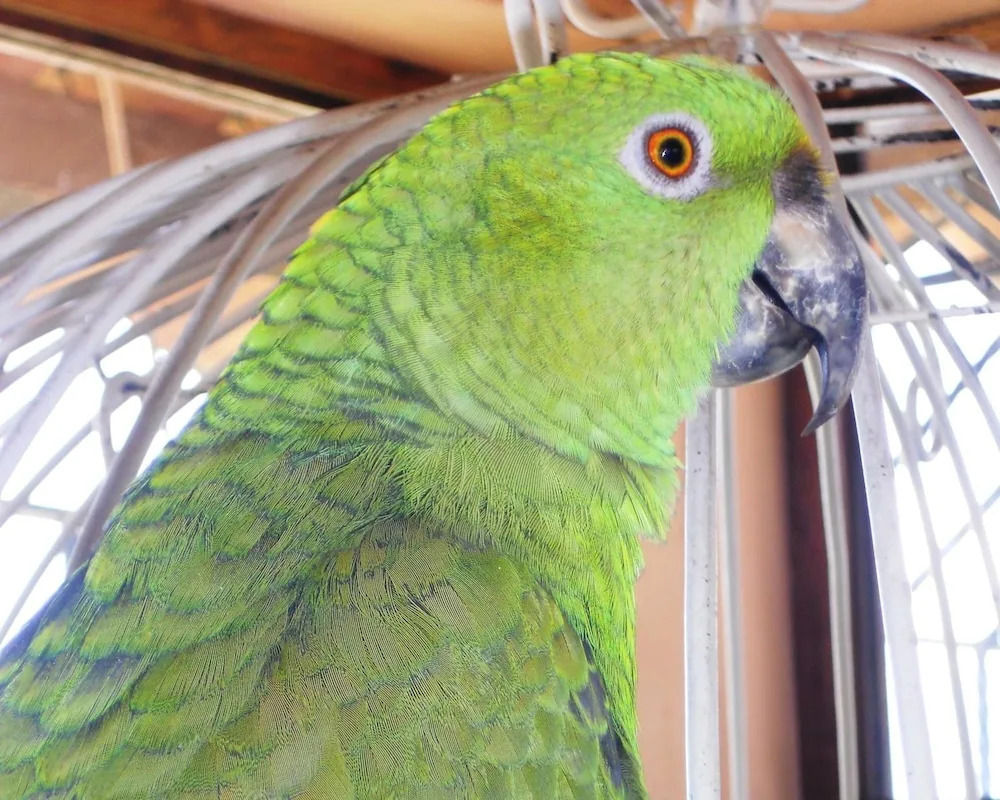 Photo - Perla Maya Hotel