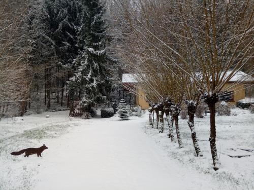 Villa Waldeslust