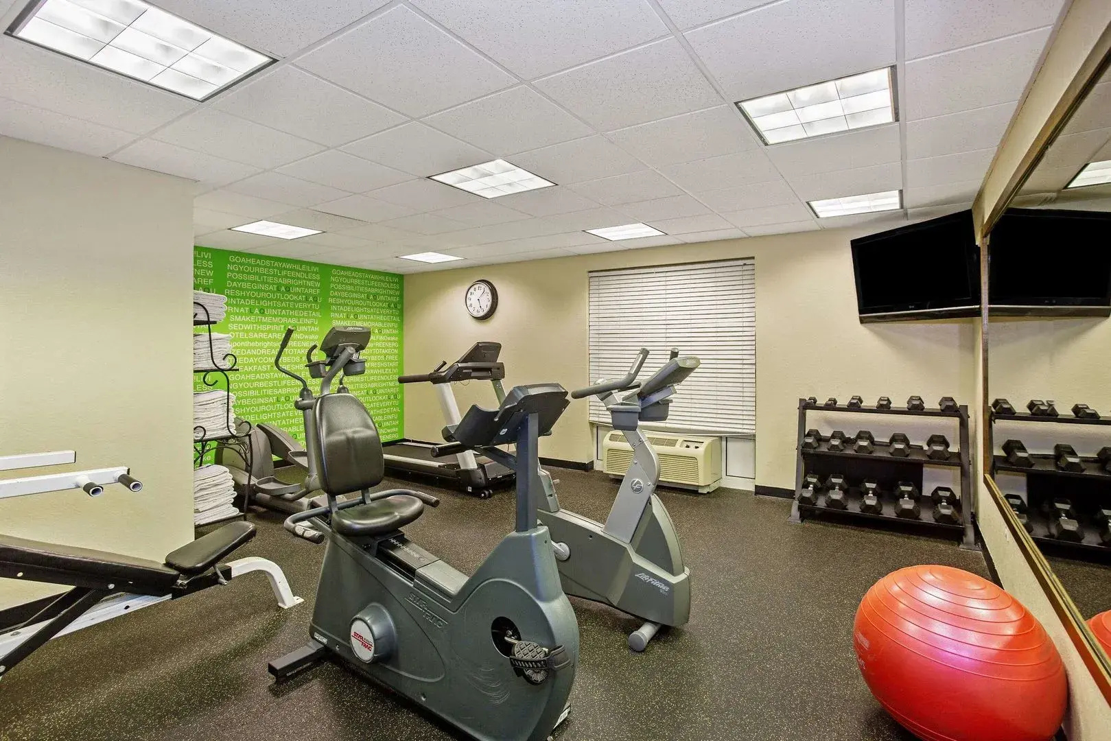 Foto - Comfort Inn & Suites Sarasota I75