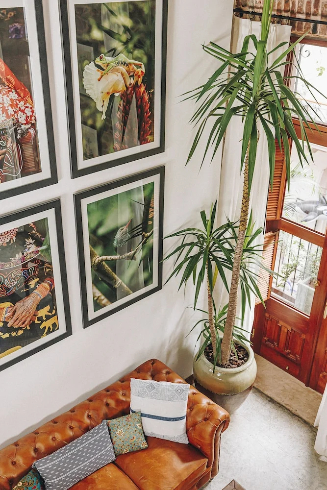 Photo - Amarla Boutique Hotel Casco Viejo - Adults Only