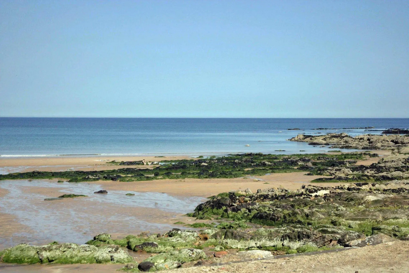 Foto - No12 Bed and Breakfast, St Andrews