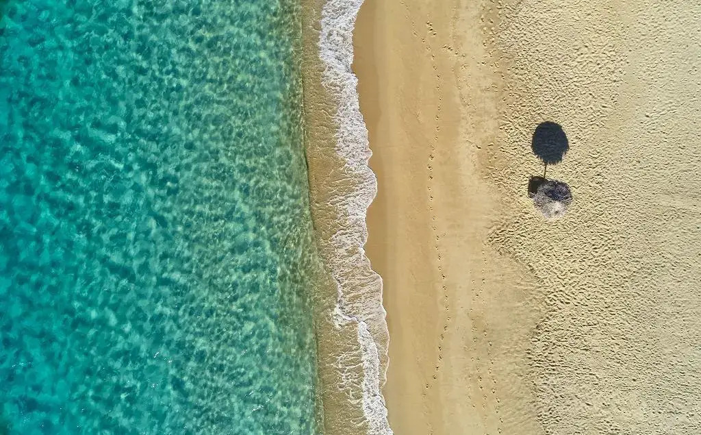 Foto - 18 Grapes Hotel