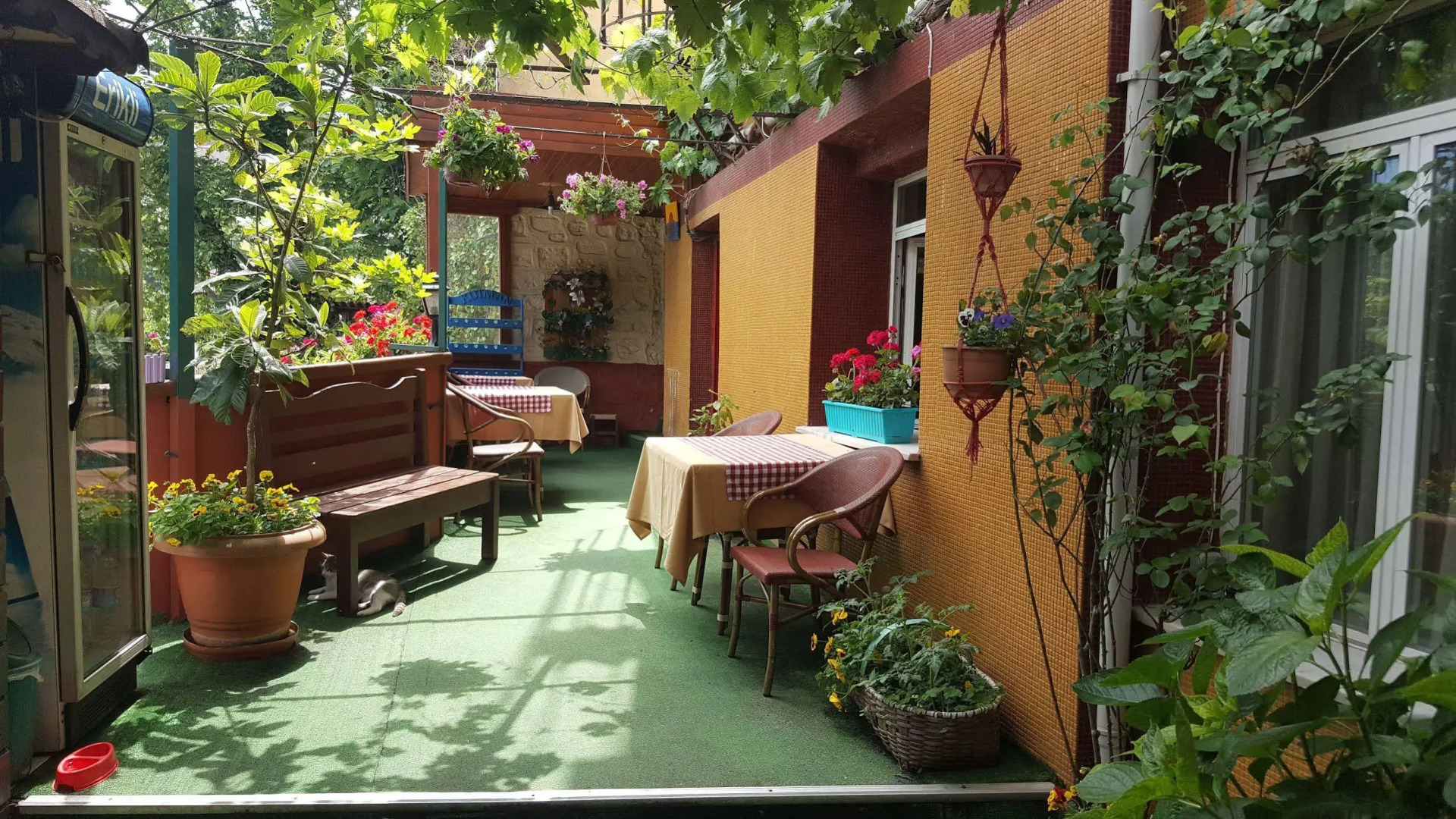 Foto - Anadolu Hotel