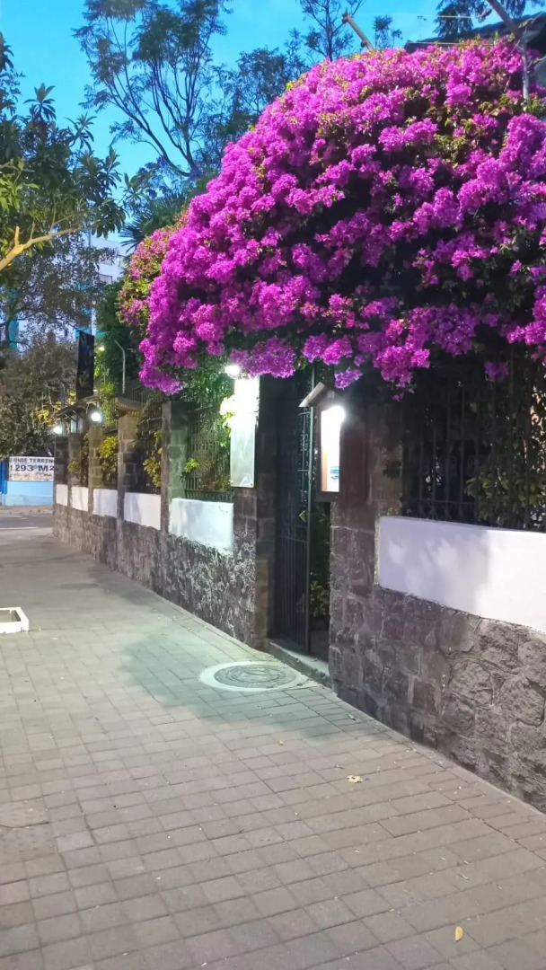 Foto - Hotel Boutique Villa de Sant