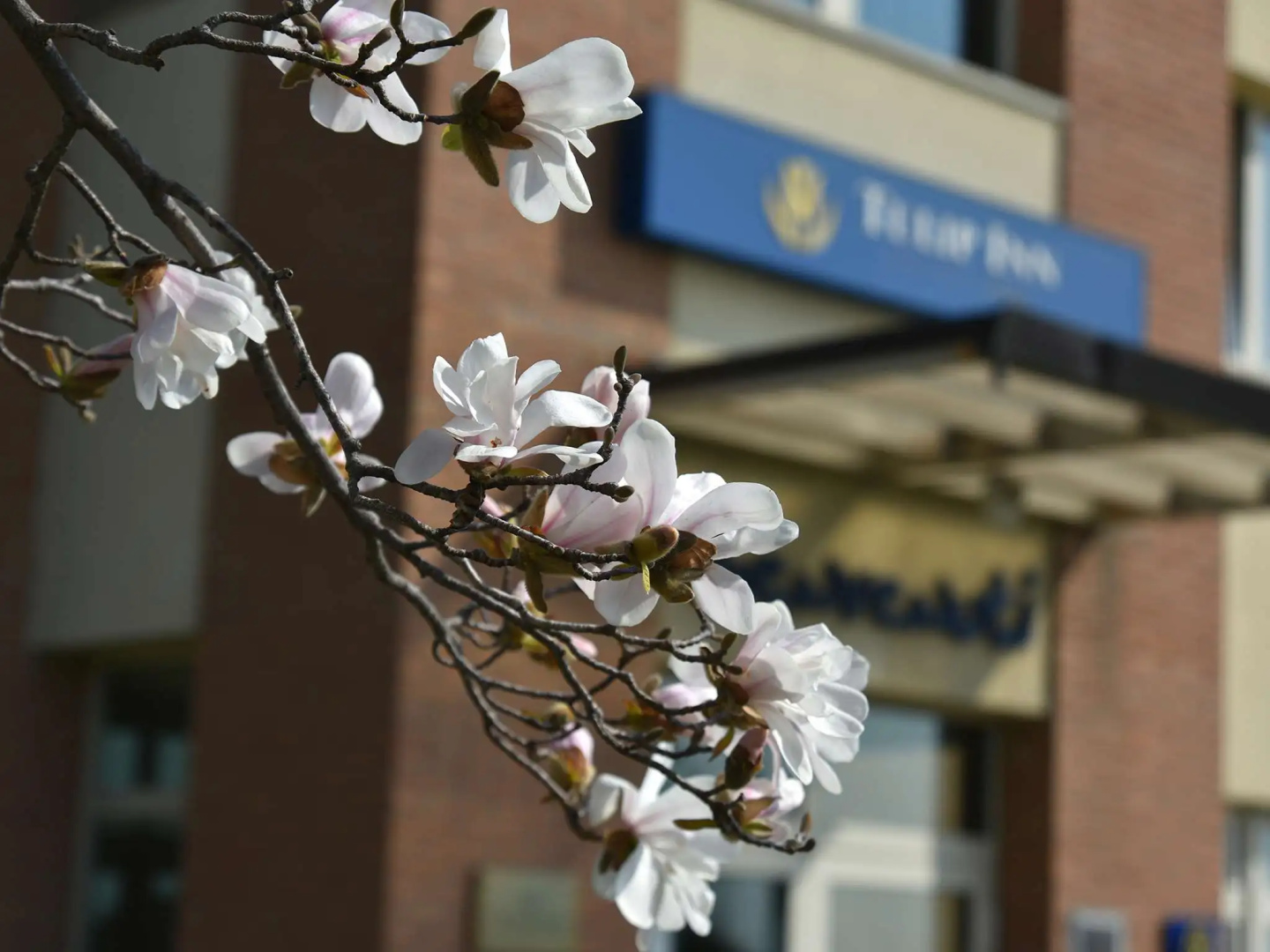 Foto - Tulip Inn Turin West Rivoli