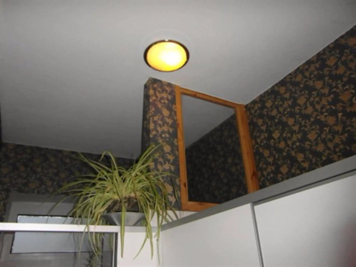 Foto - Homeplanet Hostel