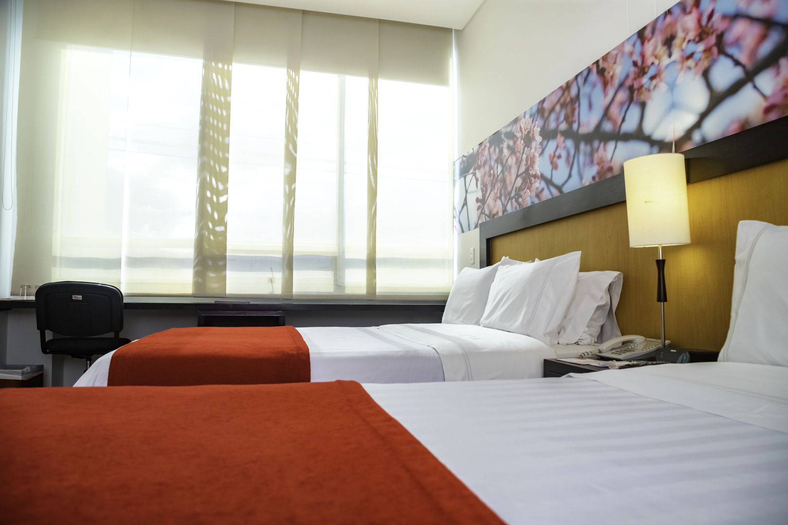 Foto - Best Western Plus Hotel San Diego