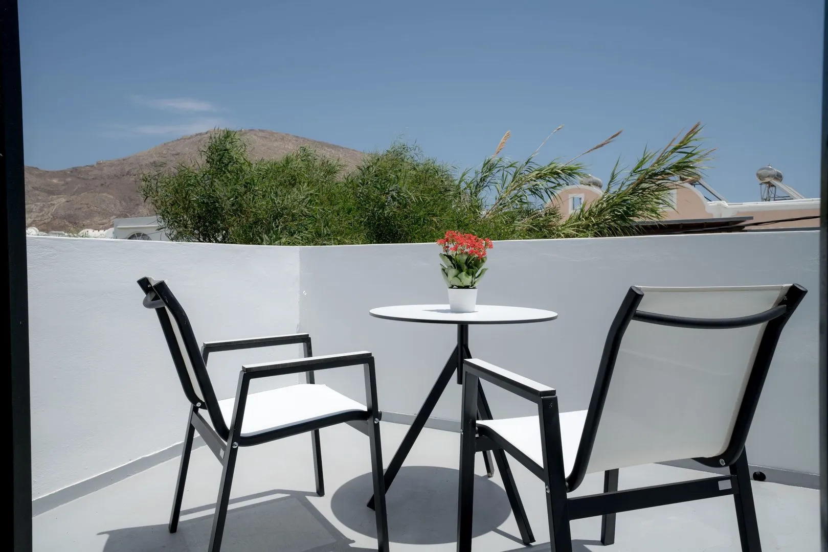 Foto - Divelia Hotel