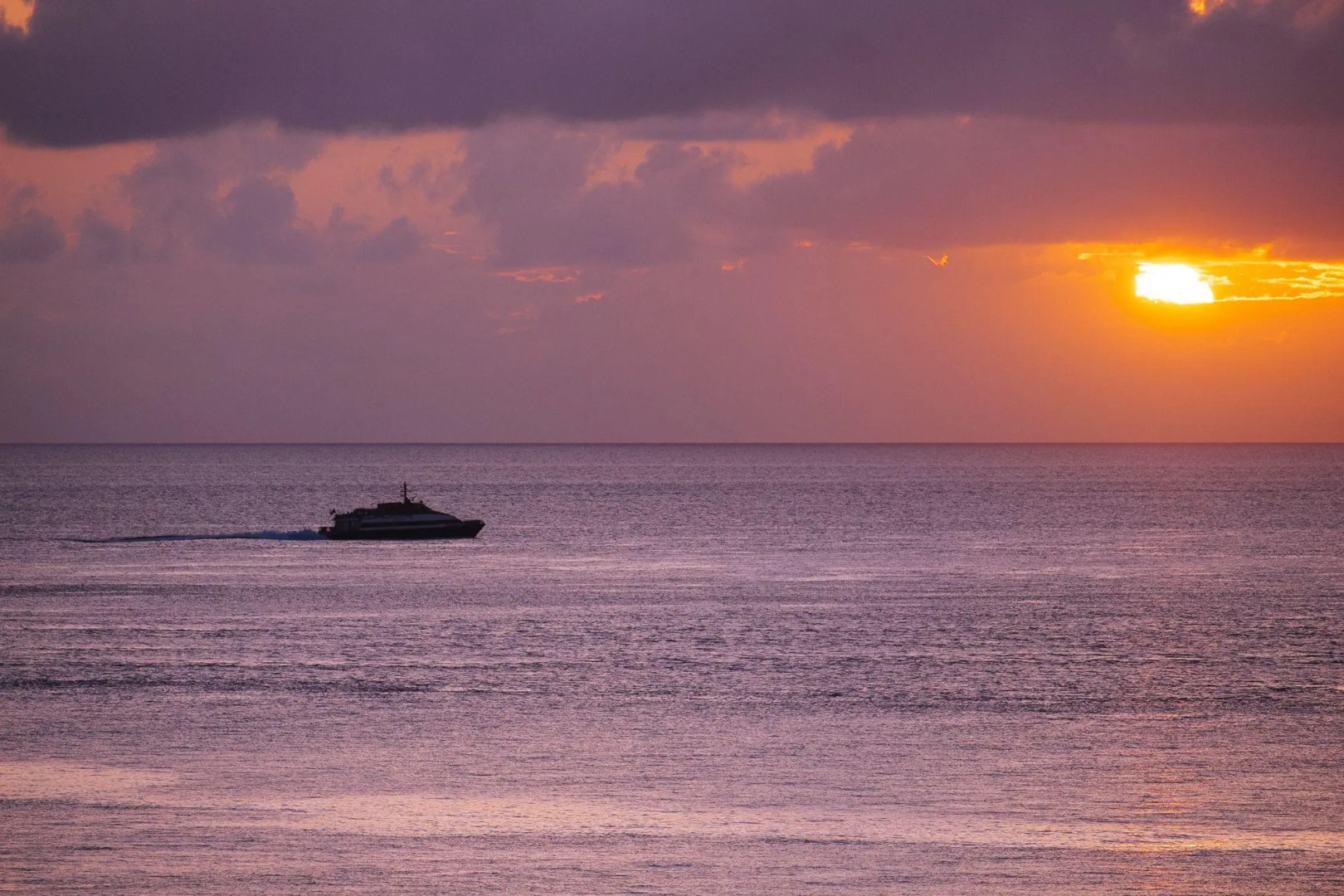 Foto - Coral Princess Hotel & Dive Resort