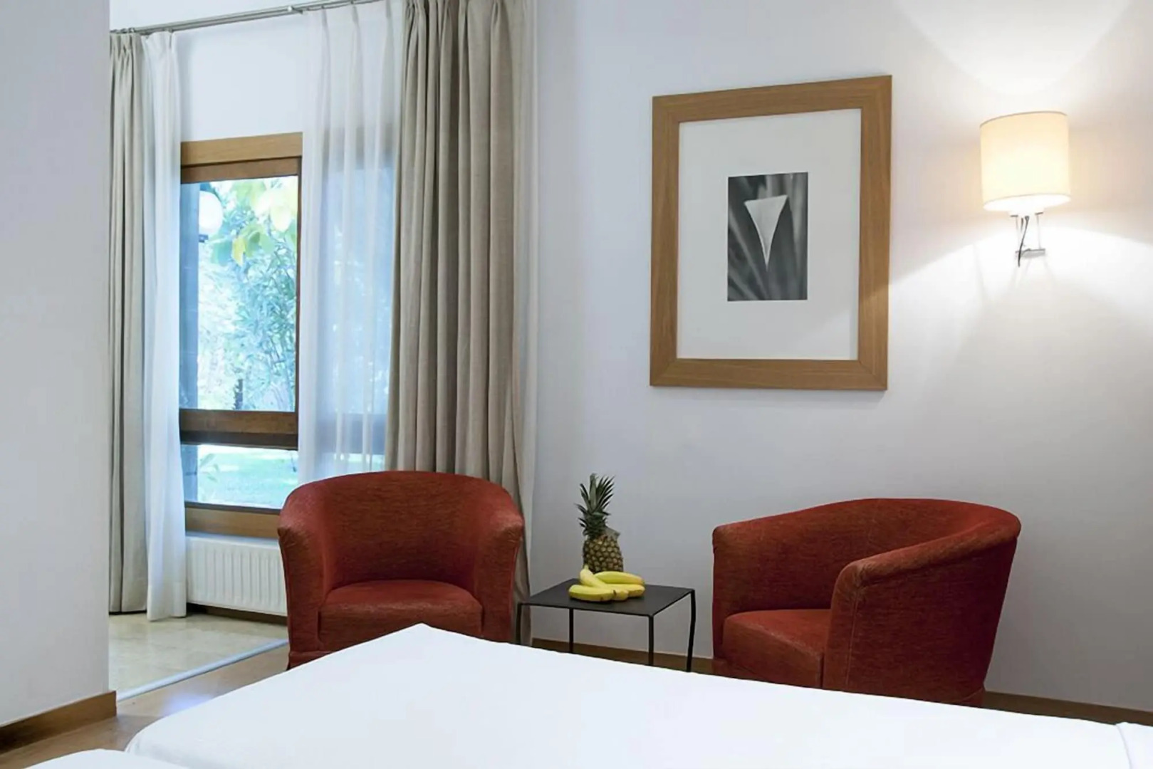 Photo - Hotel Huerto del Cura
