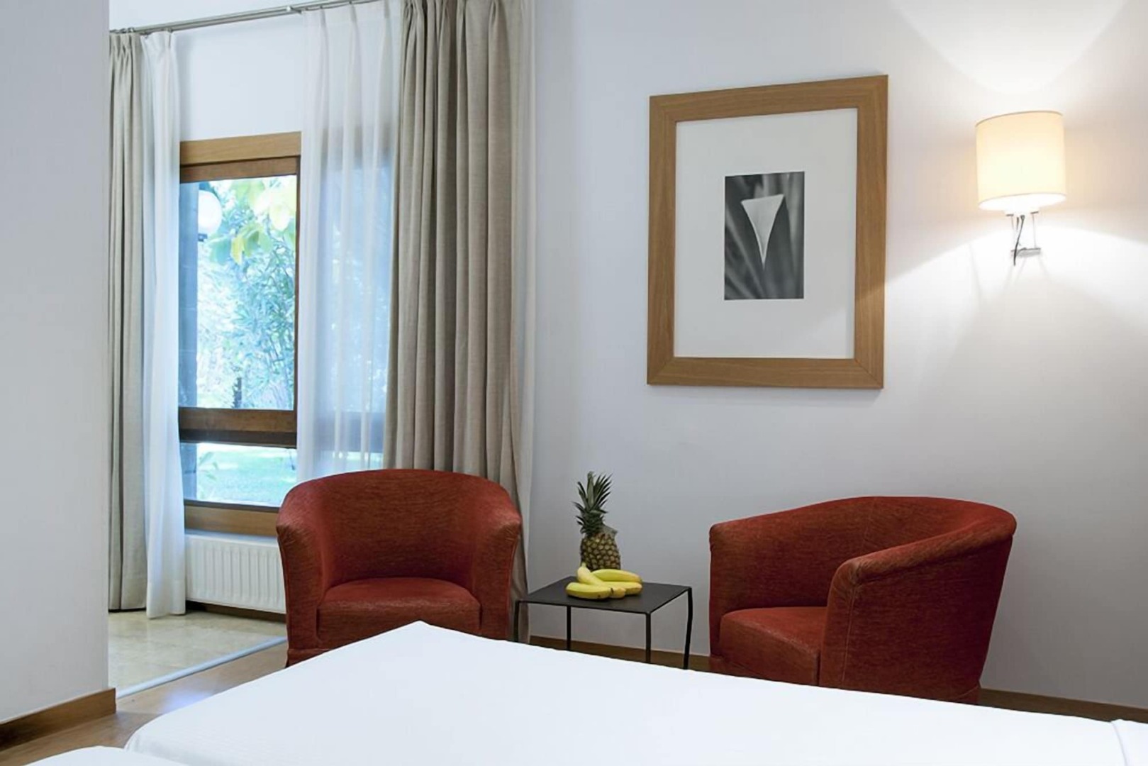 Photo - Hotel Huerto del Cura