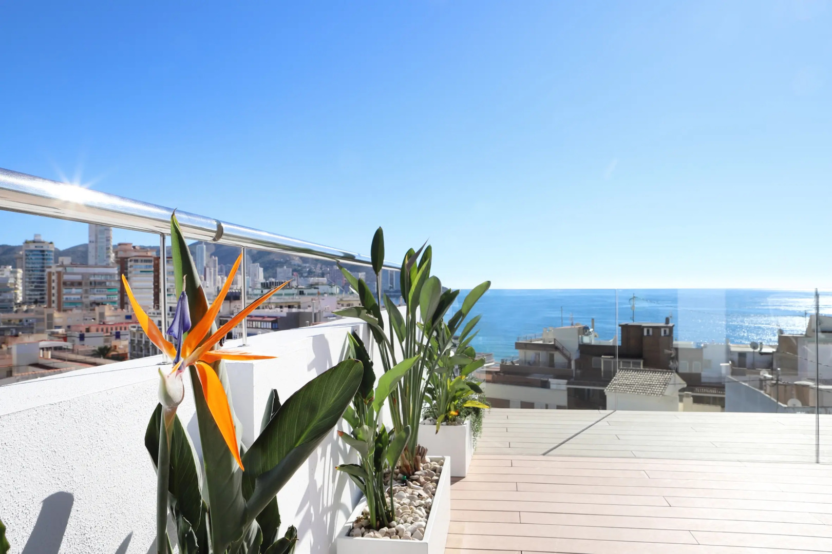 Photo - Hotel Alameda