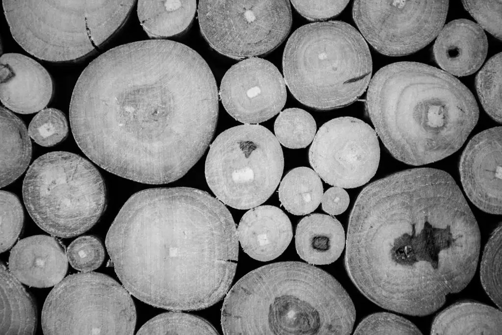 Photo - Sweet Home Naxos