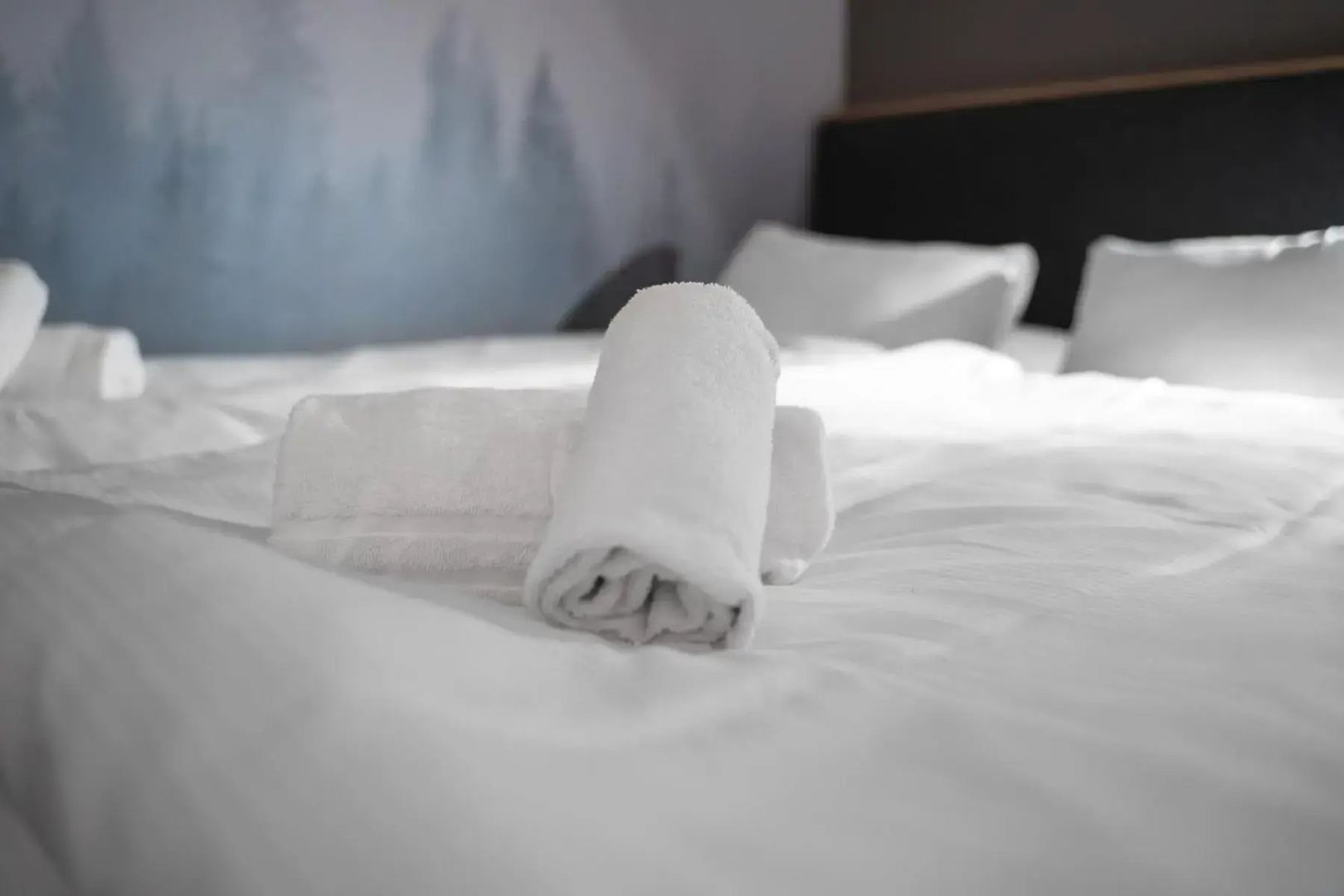 Foto - Mornington Hotel Bromma