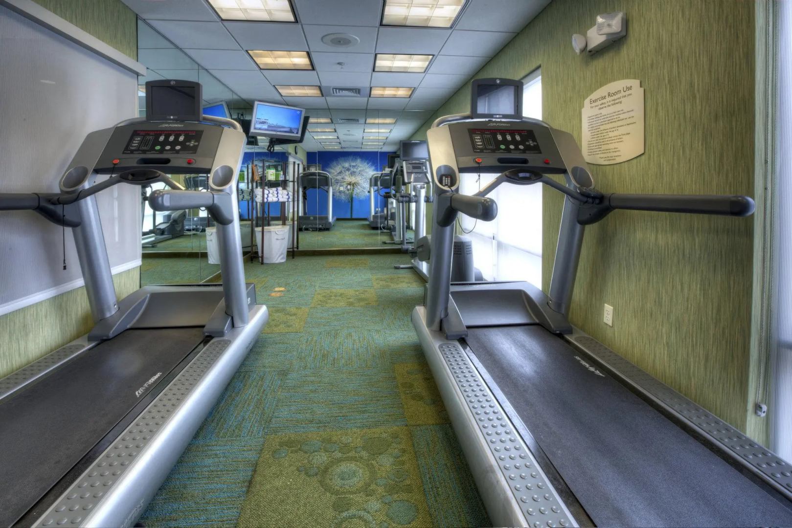 Foto - SpringHill Suites by Marriott - Tampa Brandon