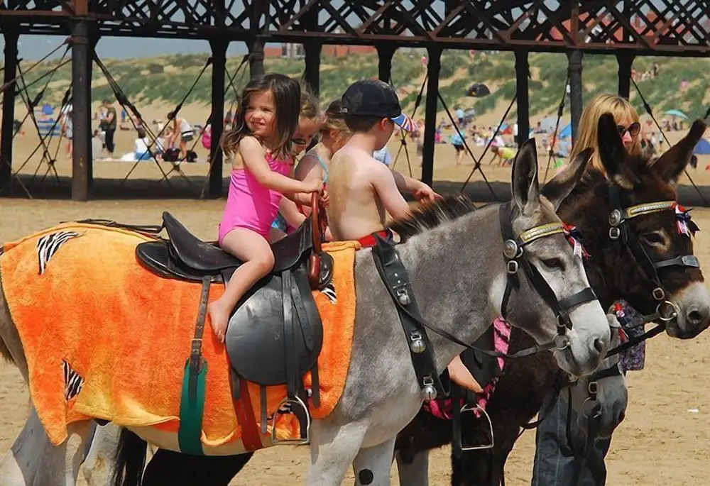 Photo - St Ives Hotel