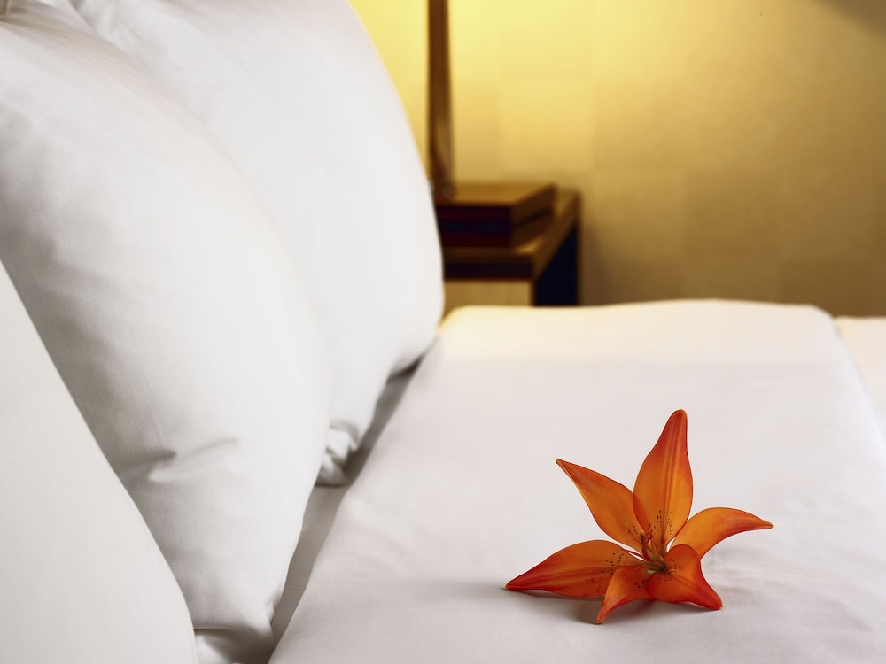 Foto - Hotel Acadia
