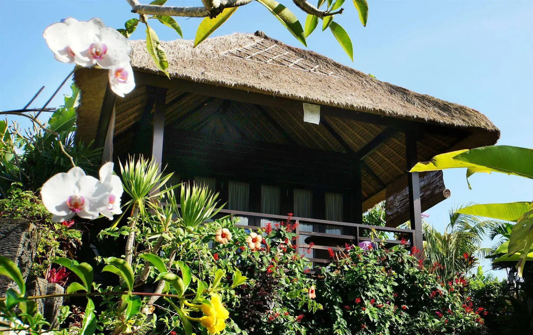 Foto - Samanvaya - Adults Only