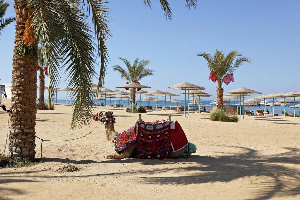 Photo - Three Corners Sunny Beach Resort