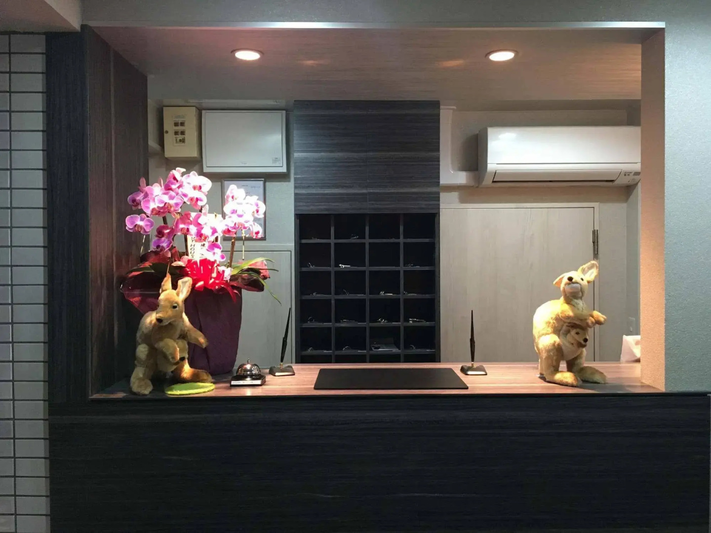 Photo - Wallaby House