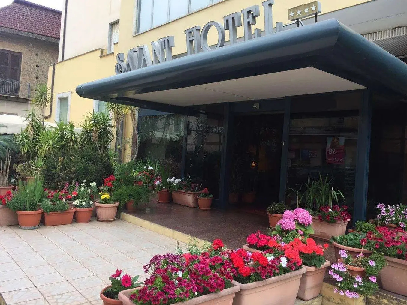 Photo - Hotel Savant