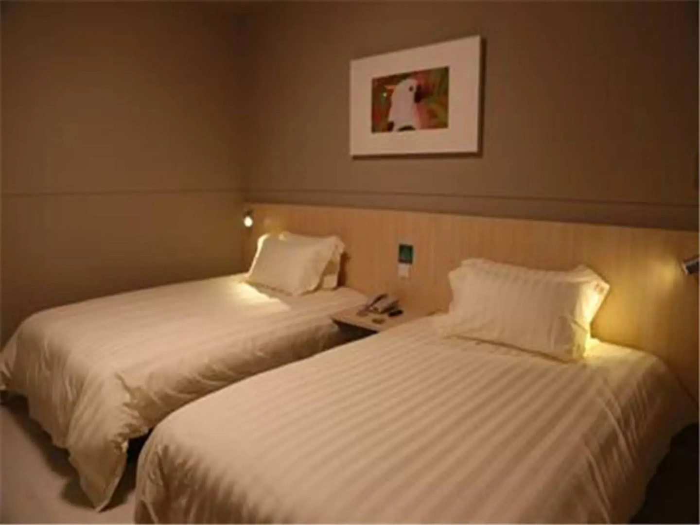 Foto - Jinjiang Inn Shanghai Zhangjiang Financial Information Park Branch