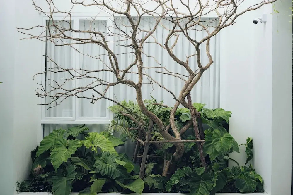 Foto - Glyn Chiangmai, Cozy Two-Story Rooms in the Heart of Chiang Mai