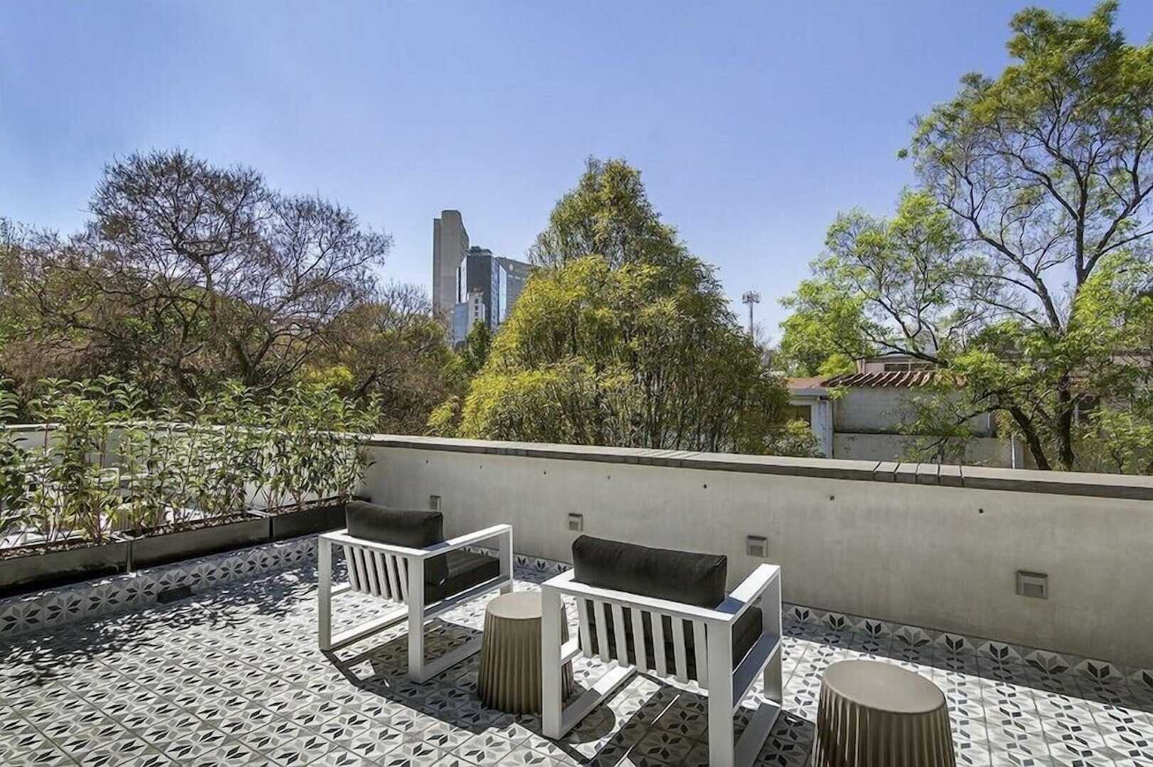 Photo - The Wild Oscar